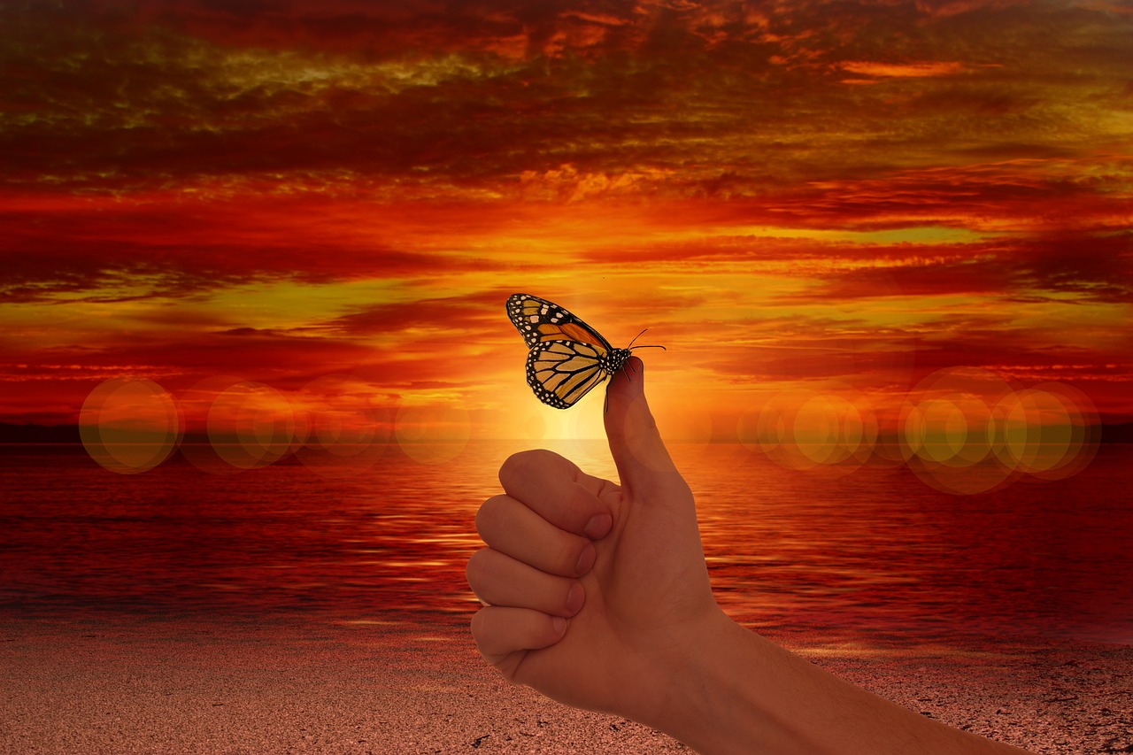 like, thumb, butterfly