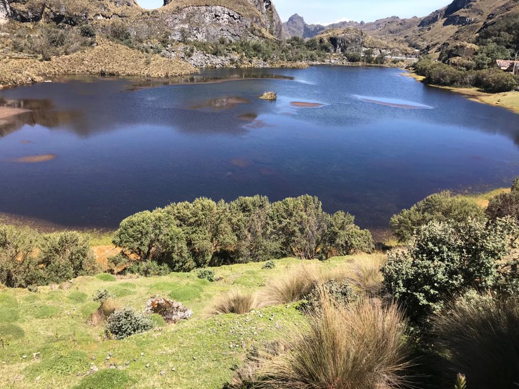 Cajas